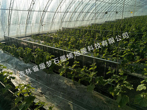 梨树蔬菜大棚